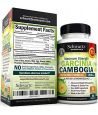 Supplément brûleur de graisse, Garcinia Cambogia.