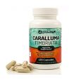 Supplément de perte de poids Caralluma Fimbriata