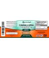 Supplément de perte de poids Caralluma Fimbriata