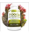 Hoodia Gordonii – pack de 3 bouteilles-