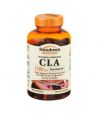 Sundown Naturals CLA Complément alimentaire gélules 1500 mg 90 compte