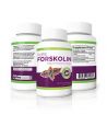 100% Pure forskoline - Force maximale brûleur de graisse et de muscle Builder