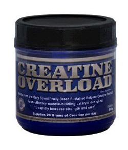 Creatine Overload 600 GR