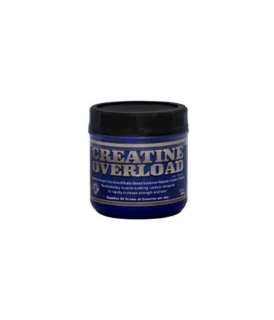 Creatine Overload 600 GR