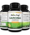 GARCINIA CAMBOGIA AVEC 95 HCA SUPPLEMENT DE PERTE DE POIDS  MEILLEUR BRULEUR DE GRAISSE A ACTION RAPIDE ET PILULES DE REGIME BLO