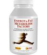 ANDREW LESSMAN ENERGY and FAT METABOLISM FACTORS 30 CAPSULES