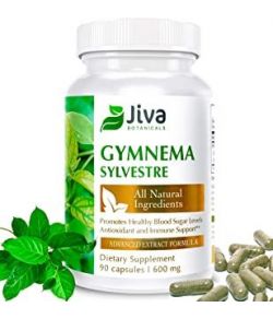 GYMNEMA SYLVESTRE 600MG SUGAR BLOCKER 90 CAPS