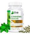GYMNEMA SYLVESTRE 600MG SUGAR BLOCKER 90 CAPS