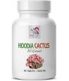 HOODIA GORDONII 1000MG 90 COMPRIMES