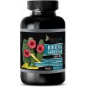 HOODIA GORDONII 2000 MG 1 BOUTEILLE 60 COMPRIMES