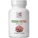 EXTRAIT DE HOODIA GORDONII EXTRAIT DE CACTUS HOODIA 201 EXTRAIT 1 BOUTEILLE 90 COMPRIMES