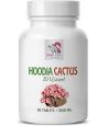 EXTRAIT DE HOODIA GORDONII EXTRAIT DE CACTUS HOODIA 201 EXTRAIT 1 BOUTEILLE 90 COMPRIMES