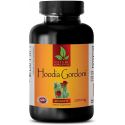 HOODIA GORDONI 2000 MG  COMPLEMENT ALIMENTAIRE  HOODIA PERTE DE POIDS  1 BOUTEILLE 60 COMPRIMES