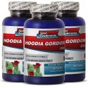 HOODIA PATCH MINCEUR  HOODIA GORDONII CACTUS 2000MG REGIME 180 3 BOUTEILLES