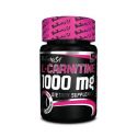 carnitine musculation